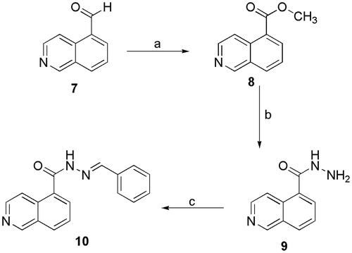 Scheme 3. Synthetic route exploited to prepare the N-acylhydrazone derivative 10 (LASSBio-2064). a) KOH, I2, MeOH, 0 °C, 4h, 80%; b) N2H4.H2O, EtOH, reflux, overnight, 80%; c) EtOH, benzaldehyde, HCl (cat), overnight, 75%.