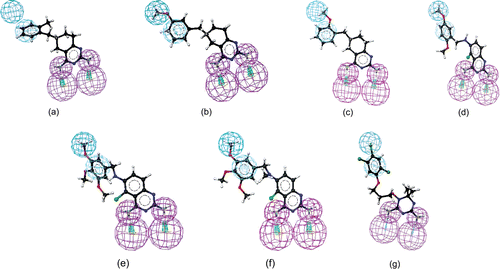 Figure 3.  Mapping of 4 (a), 8 (b), 9 (c), 17 (d), 18 (e), 19 (f), and WR99210 (3) (g) onto hypo1. Pharmacophoric features are color-coded (violet, hydrogen bond donor; blue, hydrophobic aliphatic; light blue, aromatic hydrophobic).