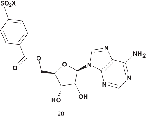 Scheme 13.  Multisubstrate for tyrosine kinase.