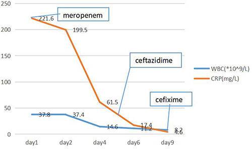 Figure 2 The leukocyte and CRP trend chart of the patient, and duration of appropriate treatment.