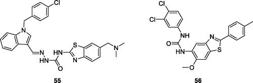 Figure 34. Chlorobenzyl indole semicarbazide BTA derivative 55 and urea BTA derivative 56.