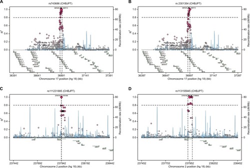 Figure 4 Regional LD plots of block 3 (KRT35 and KRT36) and block 4 (COL6A3).Notes: Regional LD plots of (A) KRT35-rs743686, (B) KRT36-rs2301354, (C) COL6A3-rs111231885, and (D) COL6A3-rs113155945.Abbreviations: LD, linkage disequilibrium; KRT35, keratin 35; KRT36, keratin 36; COL6A3, collagen type VI alpha 3 chain.