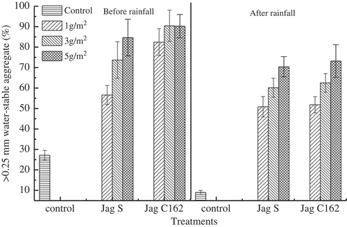 Figure 7. Effects of Jag S and Jag C162 on water-stable soil aggregate content before and after rainfall.