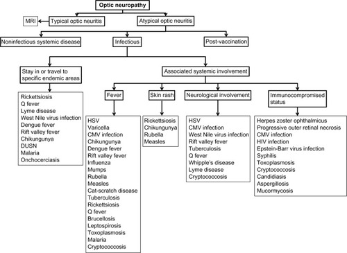 Figure 7 Practical approach to infectious optic neuropathies according to epidemiologic data and associated systemic involvement.