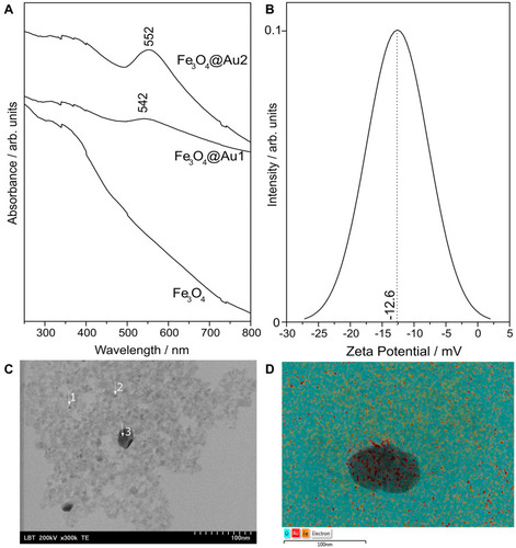 Figure 1 (A) UV-Vis absorption spectra of Fe3O4NPs and Fe3O4@AuNPs after the first (Fe3O4@Au1) and second (Fe3O4@Au2) covering steps; (B) zeta potential of the final Fe3O4@AuNPs; (C) typical TEM image of Fe3O4@AuNPs; and (D) the corresponding elemental composition of O, Fe and Au measured via EDX.