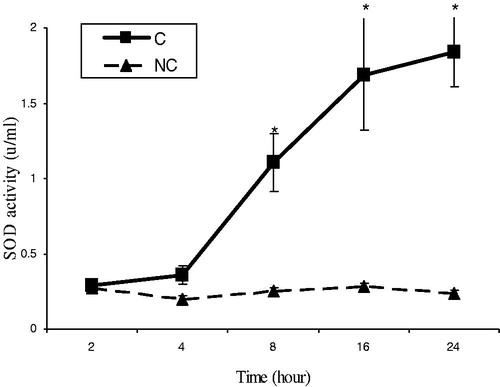 Figure 3. Time-course changes in SOD activities in rats treated with APAP compared to negative controls. In the control group (C), APAP (500 mg/kg bw) dissolved in 400 μl DMSO was i.p. injected. Data are mean ± S.E.M. of five samples obtained from five animals in each group. *Significantly different from the respective negative control group (p < 0.05).