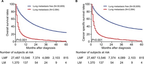 Figure 2 Kaplan–Meier analysis of (A) overall survival and (B) cancer-specific survival in hepatocellular carcinoma patients with or without initial lung metastasis.Abbreviations: LM, lung metastasis; LMF, lung metastasis free.