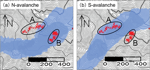 Figure 12. Simulation results with bed friction angle (δ) of 13° for the (a) N-avalanche and (b) S-avalanche, respectively. The extent of an avalanche with a thickness of >0.05 m is shown by the blue at 20 to 40 seconds after starting. Each red cross represents the position of a fallen tree. The results with δ of 12° and 14° are similar. The area shown in this figure is indicated in the map in Figure 1