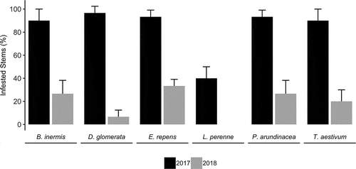 Fig. 1 Survival of Fusarium graminearum in grass stems over two winters. Bars show per cent pathogen recovery from stems after one and two years of overwintering in artificially infested debris deposited outside in autumn 2016. Whiskers represent standard deviation of three replicates, each containing 10 stem segments. Lolium perenne was significantly less likely to be colonized than other hosts (P ≤ 0.001), and by year two all the grasses had decreased to less than 40% infestation rates (P < 0.001).