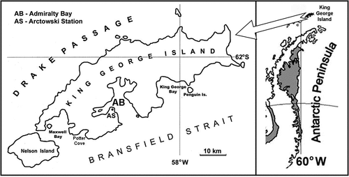 Figure 1. Location of Admiralty Bay (AB) and Polish Antarctic Station “Arctowski” (AS).