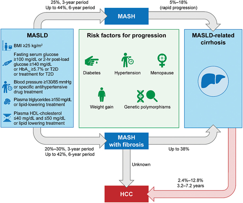 Figure 1. Progression of MASLD to MASH and other liver-related outcomes [Citation4,Citation7].