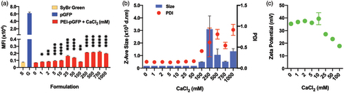 Figure 2. Effect of CaCl2 on the stability of PEI-pGFP polyplexes (w/w 2) analyzed by SyBr exclusion assay; size and net charge of polyplexes analyzed by dynamic light scattering zetasizer. Polyplexes are prepared in pure water. (a) All comparisons are made with “0” group. Results are presented as mean ± SD (n = 3; (a) 1-way ANOVA with Dunnett’s multiple comparisons, ** p = .0064, *** p =.0007, **** p <.0001, ** p = .0035).