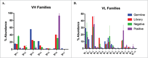 Figure 2. Antibody germline family distribution. Variable heavy (A) and light (B) chain sequences were aligned against human germline genes using IMGT V-QUEST and grouped into major families. Abundances of each family are displayed for the natural human repertoire (Blue), naive library (Red), negatively sorted pool (Green), and positively sorted population (Purple). Bars represent the average percentage of clones among 2 sorts and error bars indicate standard error.