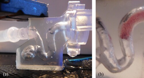 Figure 10. Test environment for the first preliminary tests to narrow down the materials. An intracranial aneurysm model was printed from a block of clear resin on Formlabs Form 2 (a), coloured silicone thrombus (base 3: catalyst 2) in the test environment (b).