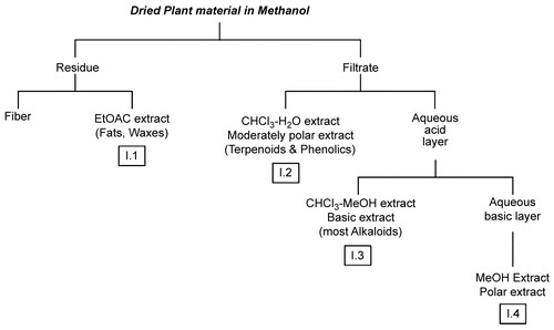 Figure 1.  Acid–base extraction procedure adopted from CitationHarborne (1998) to fractionate the methanol crude extract of the aerial parts of C. ainetensis.