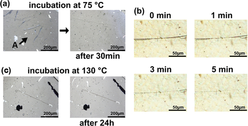 Figure 5. (a) Image of self-healing of Ti10TB10DA incubated at 75°C for 30 min: black bar is 200 μm. The black arrow is an A-shaped wound. (b) Time dependence of self-healing of Ti10TB10DA incubated at 75°C: black bar is 50 μm. (c) Image of Ti10TB10 incubated at 120°C for 30 min: black bar is 200 μm.
