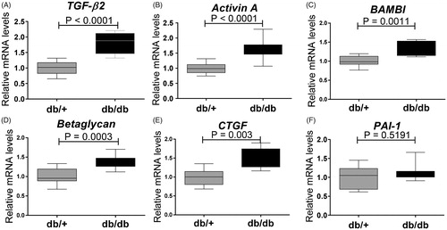 Figure 6. Expression of genes encoding modifiers of pSmad signaling in 15 weeks old db/db mice. (A) TGF-β2; (B) Activin A; (C) BAMBI; (D) Betaglycan; (E) CTGF; and (F) PAI-1. Values are relative mRNA levels corrected to housekeeping genes and displayed as boxes with whiskers showing minimum to maximum for a group of 10 mice.