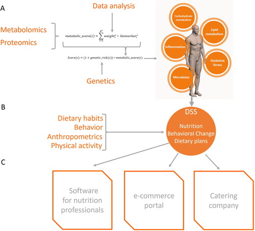 Figure 2. The approach proposed in this review was implemented in a tangible personalized nutrition system in the project PREVENTOMICS. (A) The system combined metabolomic, proteomic and genetic data together with results of data analysis for scoring the five core health processes. (B) The information on core health processes scores was further combined with behavioral information within a decision support system. (C) The decision support system was accessed by different softwares that could retrieve specific information about the user to elaborate personalized recommendations.