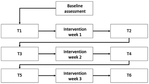 Figure 1. Illustration of the study design.Notes: Baseline (BL) assessment: active and passive ROM, MMAS and CAHAI-9. T1/3/5: performed at the beginning of the intervention week; passive ROM and MMAS. T2/4/6: performed at the last day of the intervention week; active and passive ROM, MMAS, CAHAI-9 and questionnaire. CAHAI-9 = Chedoke McMaster Arm and Hand Activity Inventory (nine item version), MMAS = Modified Modified Ashworth Scale, ROM = Range of Motion, T1/3/5 = Measurement events at the beginning of intervention week T2/4/6 = Measurement events at the end of intervention week.