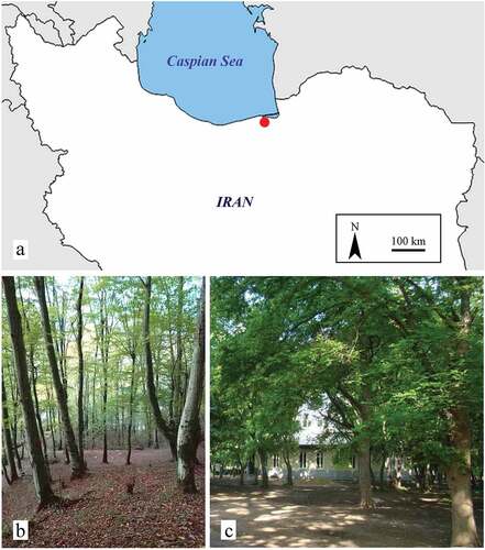 Figure 1. Sampling area. (a) Northern part of Iran: the red dot indicates Behshahr city in Mazandaran province; (b) Pasand forest, near Behshahr; (c) Imamzadeh Yusuf, near Behshahr.