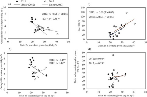 Figure 6. Linear relationships between grain Zn, anthocyanin and yield of 11 purple rice varieties grown in aerobic and wetland condition in 2012 and 2017