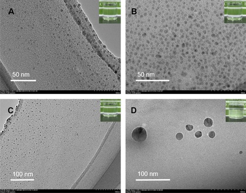 Figure 4 Transmission electron microphotography (TEM) of nanoemulsions prepared by RPB with different surfactant dosage.Notes: (A) 75% surfactant dosage of SE samples formulation. (B) 50% surfactant dosage of SE samples formulation. (C) 25% surfactant dosage of SE samples formulation. (D) 10% surfactant dosage of SE samples formulation. Scale bars: A and B 50 nm, C and D 100 nm.Abbreviation: PDI, polymer dispersity index.