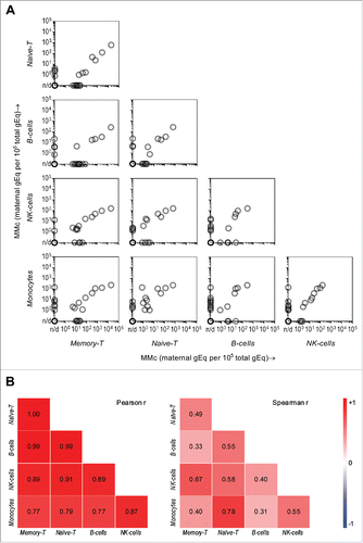 Figure 3. Pairwise correlation of maternal microchimerism (MMc) distribution in cellular subsets of cord blood (CB) and respective CB subjects. (A) The “matrix-like” figure represents the correlation between MMc levels in a particular subset vs. another subset for the same participating CB (each semi-transparent gray circle). Data is represented in genome equivalent (gEq) of maternal DNA per 105 gEq of total cellular DNA. n/d = not detected. (B) The heat maps show Pearson and Spearman correlation coefficients where blue, red, and white are negative (r tends to −1), positive (r tends to 1), and no (r = 0) correlation, respectively. p < 0.05 in all Pearson and Spearman's tests except in the two cases, where r = 0.31 and 0.33.