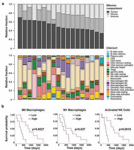 Figure 2. Assessment of the immune compartment of the pleural effusions from 18 patients. Top panel shows the estimation of the size of each of the cell compartments found in the effusions. Bottom panel shows the deconvolution of the immune compartment of the pleural effusions into immune cell type (a). Kaplan-Meier analysis of M0 macrophage, M1 macrophage and activated NK cell proportions within the pleural effusions. The threshold value denoting low and high groups is the median value as determined by CIBERSORT (b)