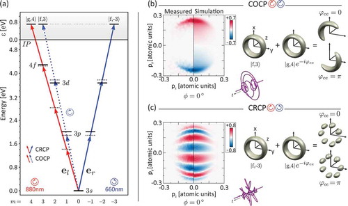 Figure 8. (a) Excitation scheme for the control of the CEP-sensitive photoemission from perturbative MPI of Na atoms using (3ω:4ω) COCP and CRCP fields. (b) COCP fields create a PMD in the shape of a crescent. (c) CRCP fields generate a standing wave pattern with seven azimuthal lobes. In both cases the driving bichromatic fields are sketched in the inset, along with simulated 3D photoelectron wave packets. The measured CEP-dependent asymmetry contrast A(p,θ) (left) is compared to the simulation (right). The contributions from third-order frequency mixing are below the ionization potential of Na atoms (IP=5.13eV).