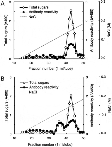 Figure 5. Peak shifts for rhamnogalacturonan II (RG-II) and antibody reactivity.Borate-RG-II complex without (a) or with (b) acid treatment was separated on a DEAE-Sepharose column (10 × 100 mm), and the fractions were subjected to total sugar analysis for RG-II and competitive ELISA for antibody reactivity. For the antibody reactivity, the decrease in absorbance at 450 nm (∆A450) caused by the addition of each fraction was plotted.