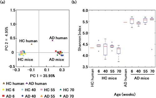 Figure 3. Gut microbial composition over time in mice transplanted with microbiotas from healthy and affected donors.(a) Principal coordinate analysis of weighted UniFrac distances. Data points are individual mice colored by donor microbiota and age in weeks. (b) Shannon index by age and donor microbiota.