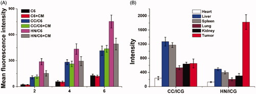 Figure 8. The in vitro (A) and in vivo (B) targeting assays of HN/CDDP/OA. Data were repeated thrice and expressed as standard deviation.