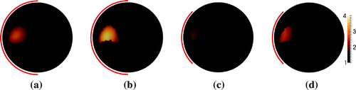 Figure 10. Sparse reconstruction of the phantom with a kite-shaped inclusion in Figure 2(b). (a) 50% boundary data, no prior. (b) 50% boundary data with 10% overestimated support. (c) 25% boundary data, no prior. (d) 25% boundary data with 10% overestimated support.