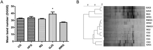 Figure 3. Animals mean band number evaluated from the DGGE (A) and Dendrogram per DGGE (B) after 60 days of experiment (n = 6/group).Control Group, fed diet control (CG); high-fat group fed with high-fat diet (HFG); resveratrol group, fed with high-fat diet and receiving 15mL/day of resveratrol solution 4% (RG); grape juice group, fed with high-fat diet and receiving 15mL/day of grape juice (GJG); red wine group, fed with high-fat diet and receiving 10mL/day of red wine (RWG). Considered significant when p ≤ 0.05. (*) when compared to the other groups. ANOVA one-way, Tukey as post-test.