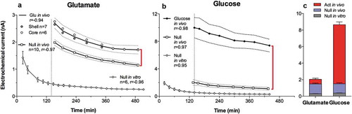 Figure 18. Slow changes (mean±sem) in electrochemical currents detected in the NAc by substrate-specific and substrate-null sensors during long-term recordings in freely moving rats. Both GLU (A) and glucose (B) currents slowly decreased during ~8-hour in vivo recording. A similar decrease, but at lower absolute levels, occurred with both types of null sensors recorded during the same time in vitro at 22–23°C. Since active sensors differ from null sensors only by the presence of a specific enzyme (glutamate oxidase or glucose oxidase), the difference in currents detected by these sensors reflects the GLU or glucose contribution (red vertical lines in A and B). Open and close circles in A show current values in the NAc shell and core, while a solid line shows their average. C compares the proportion of the specific contribution of GLU and glucose (in red) with respect to nonspecific contributions (gray and blue) to the overall recorded current. While these nonspecific contributions are similar for both glutamate and glucose sensors, the specific component is much larger for glucose than for glutamate. Original data were published in [Citation174,Citation177]; the picture was reproduced in [Citation187] (ACS Chemical Neuroscience; open access publication).