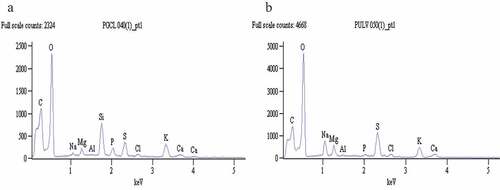Figure 1. EDX spectra of polysaccharides from G. gracilis (a) and U. lactuca (b) and the intensity of corresponding elements detected