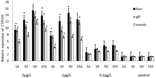 Figure 2. The effects of BaP on the CYP450 relative gene expression level of Mytilus coruscus.