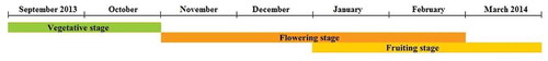 Figure 1. The collection periods of samples according to the three major phenological stages of Hertia cheirifolia.