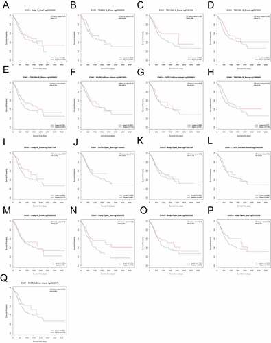 Figure 9. Survival analysis for all methylation probes; P < 0.05 was considered statistically significant