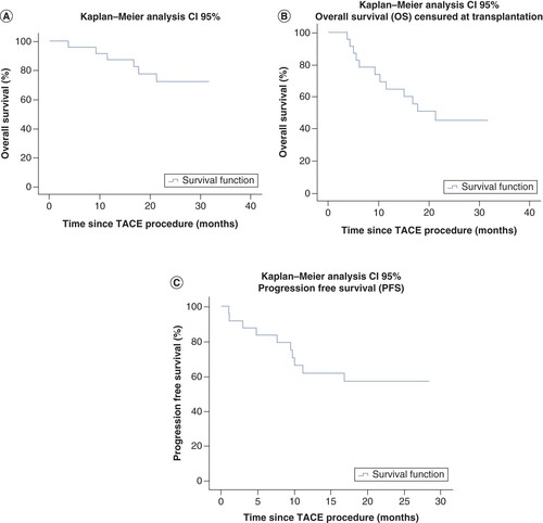 Figure 3. Kaplan–Meier curves.Kaplan–Meier estimates of overall survival (A), transplantation-free survival (B) and progression-free-survival (C).