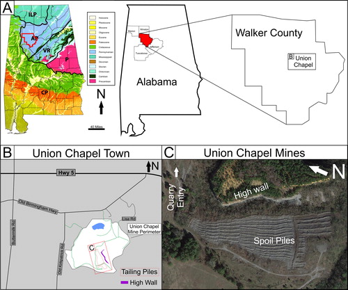 Figure 1. Location map; A) Geological map of Alabama and the site map for the Union Chapel Mine Fossil Site (modified from Buta and Kopaska-Merkel Citation2016) B) Local map for the town of Union Chapel and quarry map of the open pit site. C) Annotated Google image for the Union Chapel Mine locality (Modified from Google Earth images).