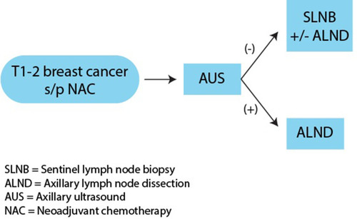 Figure 3 Restaging of the axilla after NAC. ALND has traditionally been recommended for patients with a clinically positive axilla and positive FNA/CNB. For patients who are treated with NAC, evaluation with AUS can help reduce the utilization of ALND and concomitant patient morbidity. Following NAC, AUS can be used to assess response to therapy, If the AUS is negative after NAC, SLNB is recommended with ALND reserved for patients with ≥ 2 positive sentinel lymph nodes.