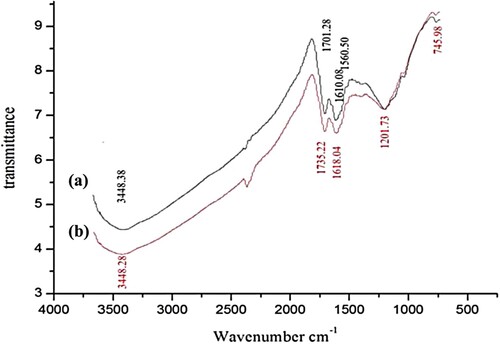 Figure 2. FTIR spectra of (a) SATCS, and (b) SATCS after MB dye adsorption.