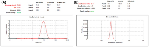 Figure 7 (A) particle size distribution, polydispersity index, and (B) zeta potential of the optimized IMQ-NLCs.