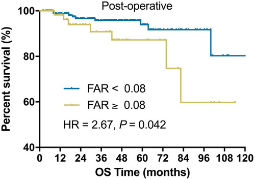 Figure 3 Kaplan–Meier plot of OS for patients without radical surgical resection stratified into two groups: patients with a FAR ≥0.08 and patients with a FAR < 0.08.