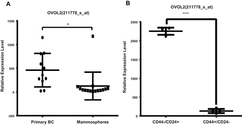 Figure 9 OVOL2 was significantly downregulated in GSE7515 and GSE15192. (A) mRNA of OVOL2 was significantly lower (p<0.05) in mammospheres (GSE7515). (B) mRNA of OVOL2 was significantly lower (p<0.0001) in CD44+/CD24− subgroup (GSE15192). Quantitative data is presented as mean ± s.d. of two GEO datasets (GSE7515 included 15 mammospheres and 11 primary breast cancer samples. GSE15192 included CD44+/CD24− and CD44−/CD24+ samples with 4 replicates respectively). *p<0.05, ****p<0.0001.