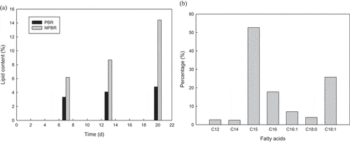 Figure 3. Lipid content (a) of Chlorella sorokiniana CY-1 cultivated in glass-made vessel and novel PBR and FAME compositions (b) of Chlorella sorokiniana CY-1 cultivated in novel PBR at day 20