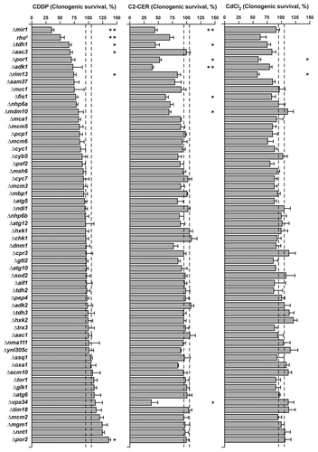 Figure 4. Response to cisplatin (CDDP), C2-ceramide (C2-CER) and cadmium dichloride (CdCl2) of a panel of Saccharomyces cerevisiae knockout strains. Clonogenic survival of a panel of Saccharomyces cerevisiae strains deficient for the indicated genes upon treatment with CDDP (left panel), C2-CER (middle panel) or CdCl2 (right panel). Data are represented as means ± SEM (n = 3) upon normalization to the clonogenic survival of parental (either haploid BY4741 or diploid BY4743, as appropriate) cells treated with the same compound. *p < 0.05, **p < 0.01 (Student’s t-test), as compared with parental cells.