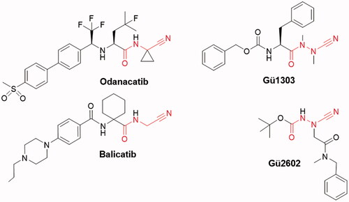 Figure 1. Chemical structures of peptidomimetic inhibitors of cathepsin K with a reactive nitrile functionality. The warhead is indicated in red. The dipeptide nitriles odanacatib and balicatib were developed as osteoporosis drugs. The azadipeptide nitrile Gü1303 and 3-cyano-3-aza-β-amino acid Gü2602 contain the cyanohydrazide warhead.