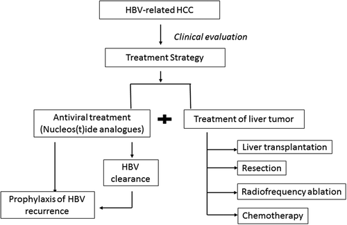 Figure 1. Current steps in the management of HBV-related HCC.